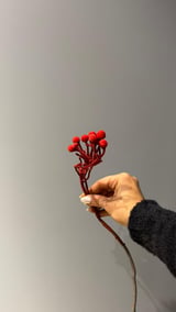 Brunia — Kırmızı