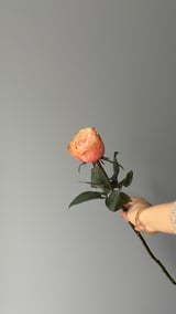 Khala — Yavru Ağızı