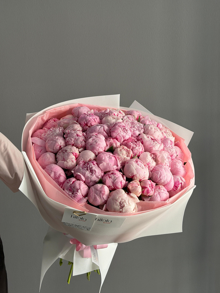 50 Pembe Şakayık – Saf Tutku