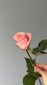Be Sweet — Pembe