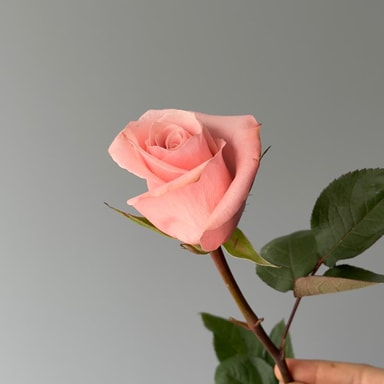 Be Sweet