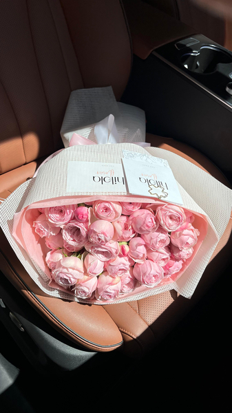 Mansfield Garden Gül – Timeless Bloom